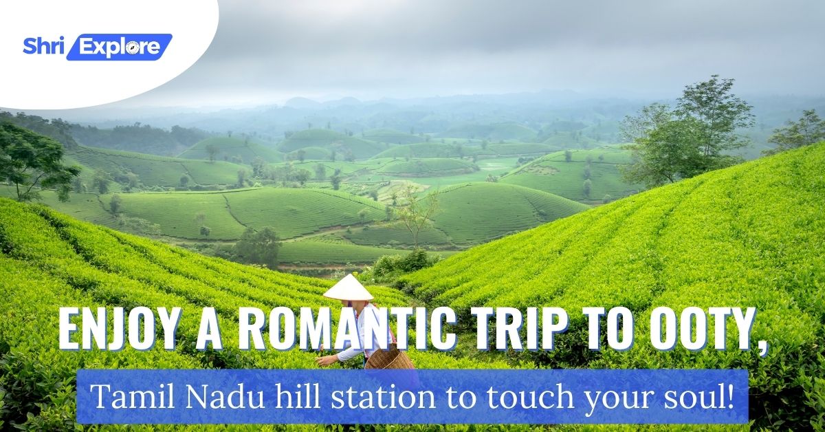 Enjoy a romantic trip to Ooty, Tamil Nadu hill station to touch your soul! www.shriexplore.com