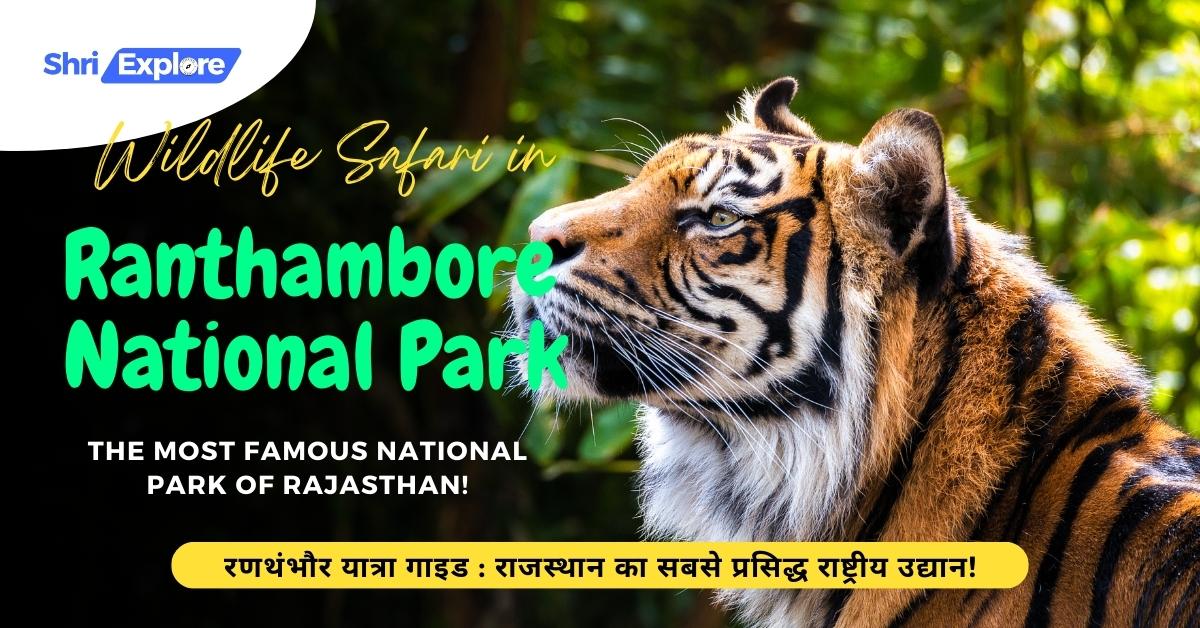 Ranthambore National Park : The most famous national park of Rajasthan! रणथंभौर यात्रा गाइड राजस्थान का सबसे प्रसिद्ध राष्ट्रीय उद्यान! www.shriexplore.com