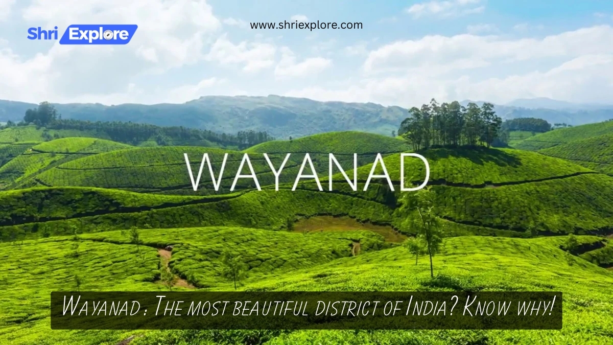 वायनाड : भारत का सबसे खूबसूरत जिला ? जानिए क्यों! | Wayanad : The most beautiful district of India? Know why! www.shriexplore.com